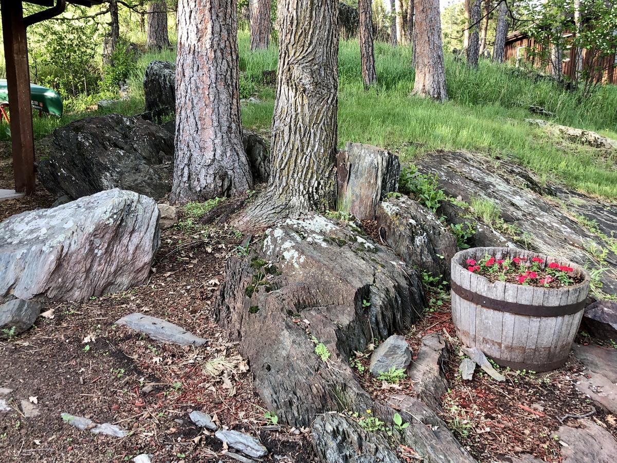 Rockerville Lodge & Cabins - thumb 24