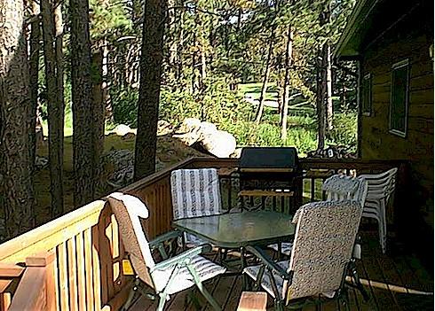 ThunderHeart - thumb 17