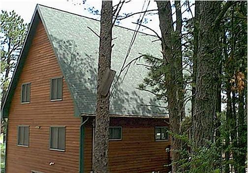 ThunderHeart - thumb 22