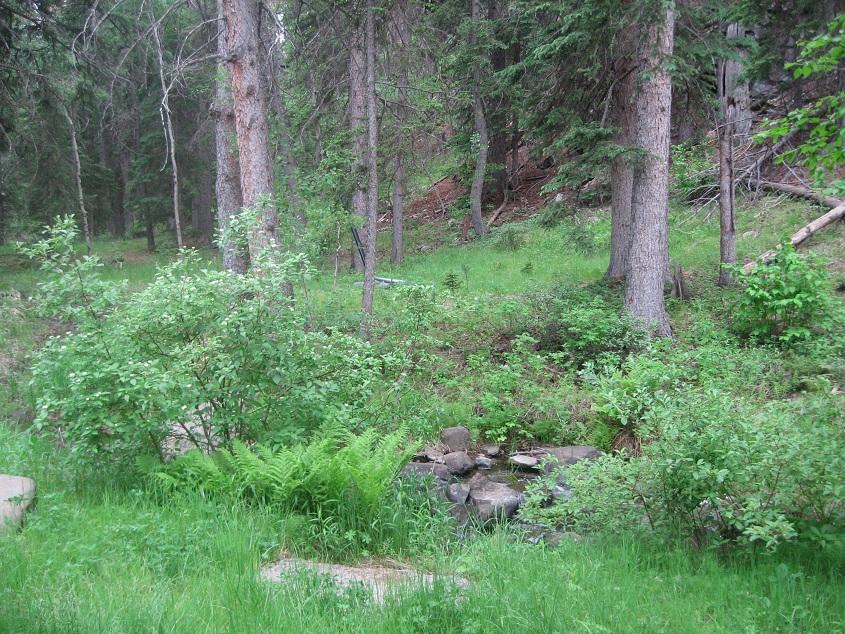 Harney Camp Cabins - thumb 31