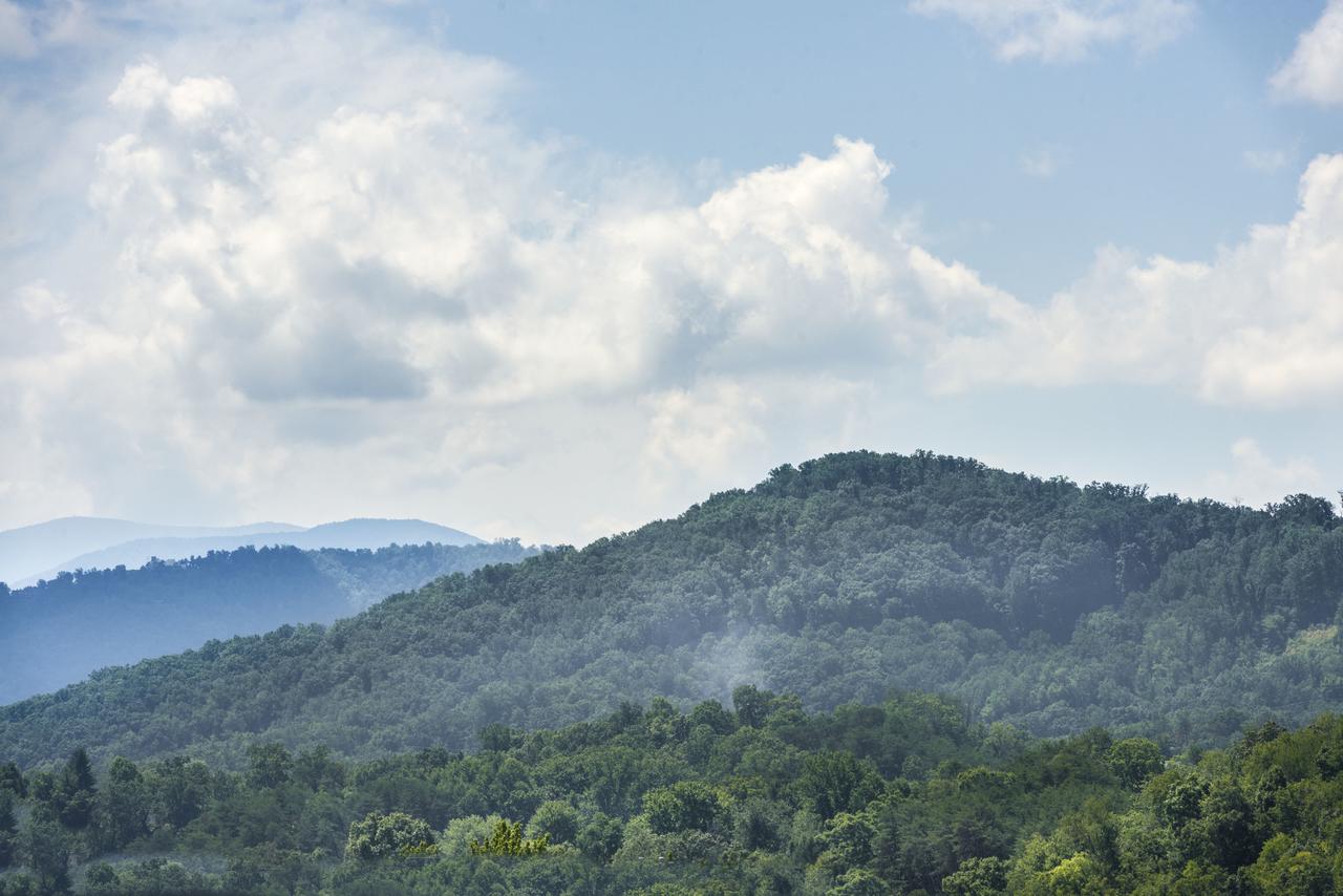 Margaritaville Island Inn - thumb 11