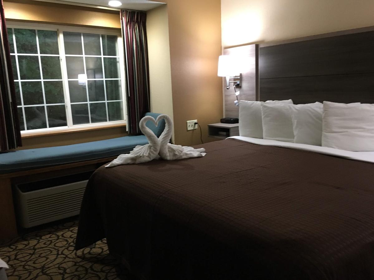 Guest Inn Pigeon Forge - thumb 2