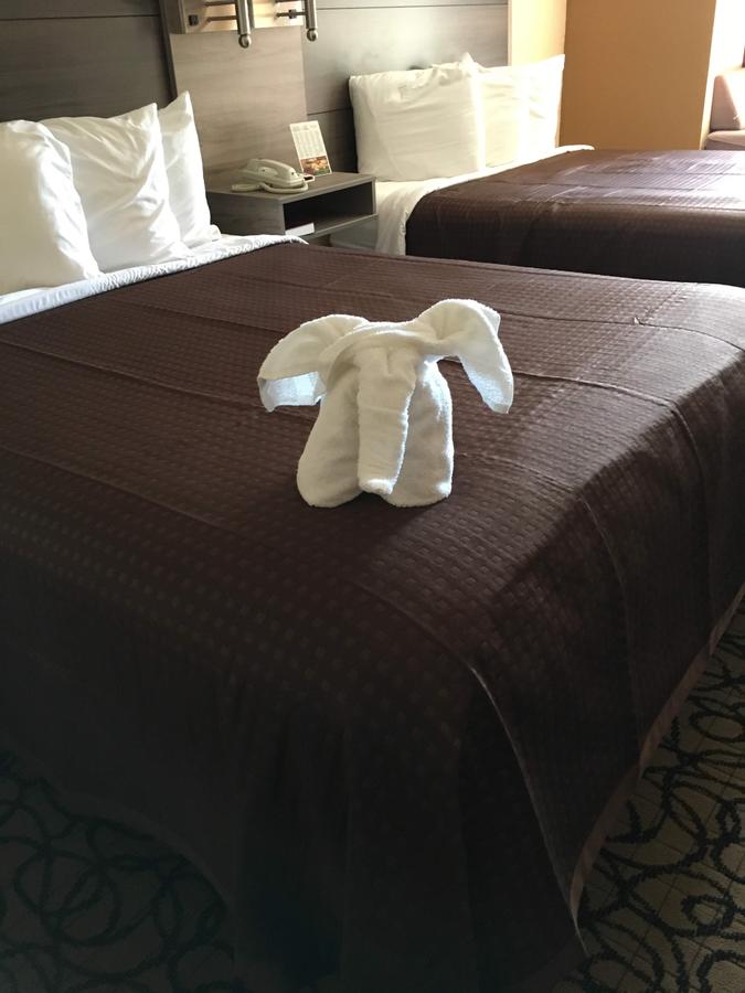 Guest Inn Pigeon Forge - thumb 5