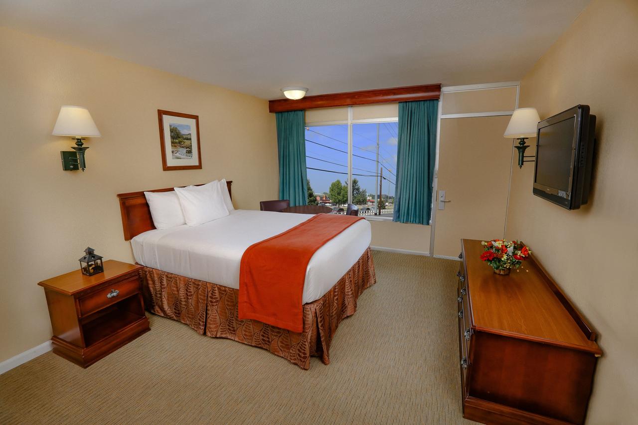 Wild Bear Inn - thumb 23