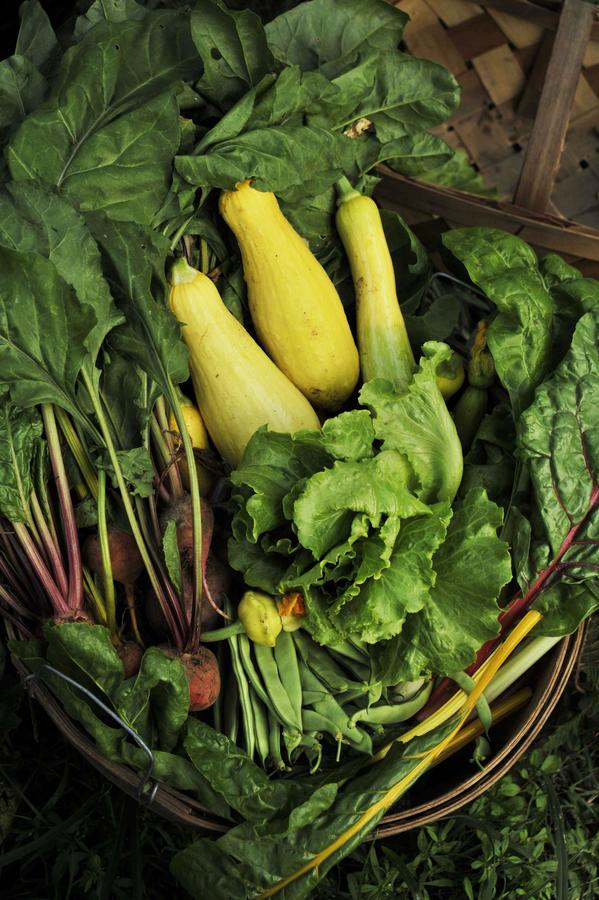 The Hermitage Hotel - thumb 30