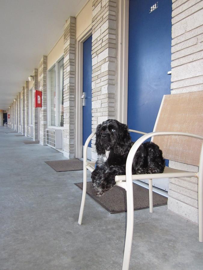 Sidney James Mountain Lodge - thumb 30