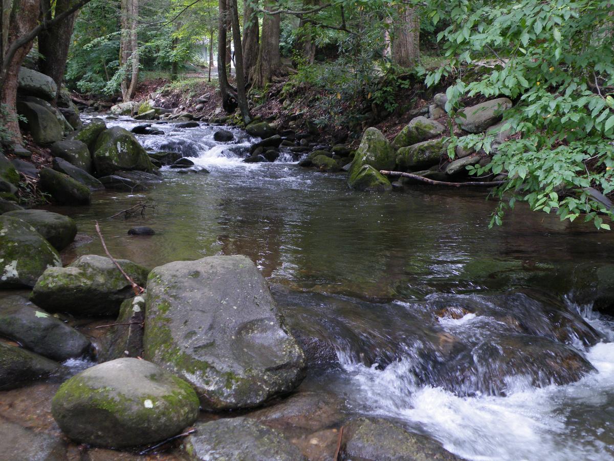 Sidney James Mountain Lodge - thumb 23