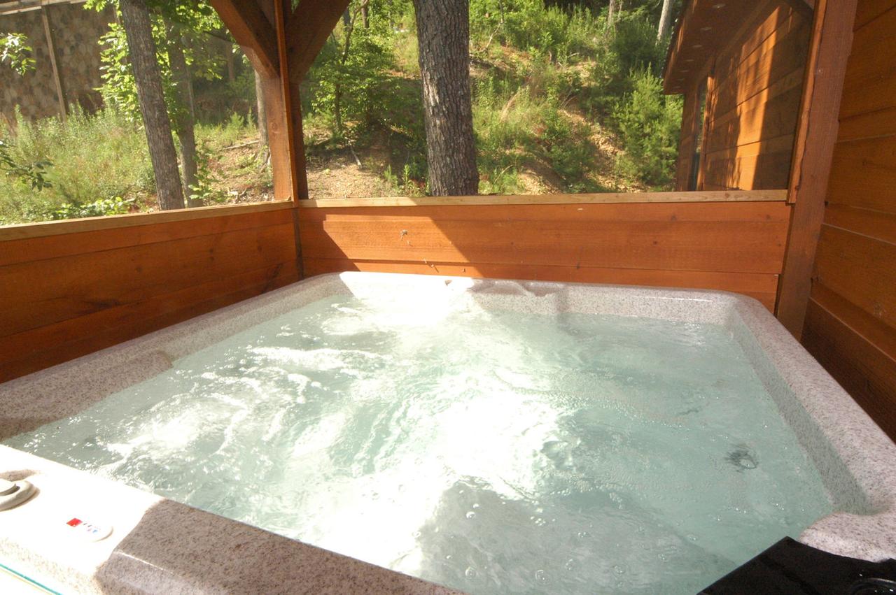 A Bear's Eye View #251 - Two Bedroom Cabin - thumb 13