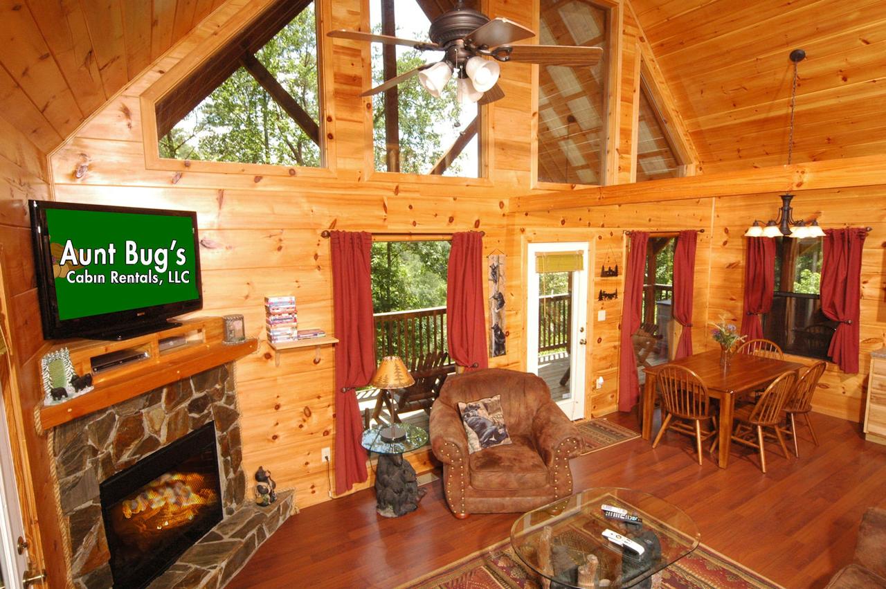 A Bear's Eye View #251 - Two Bedroom Cabin - thumb 17