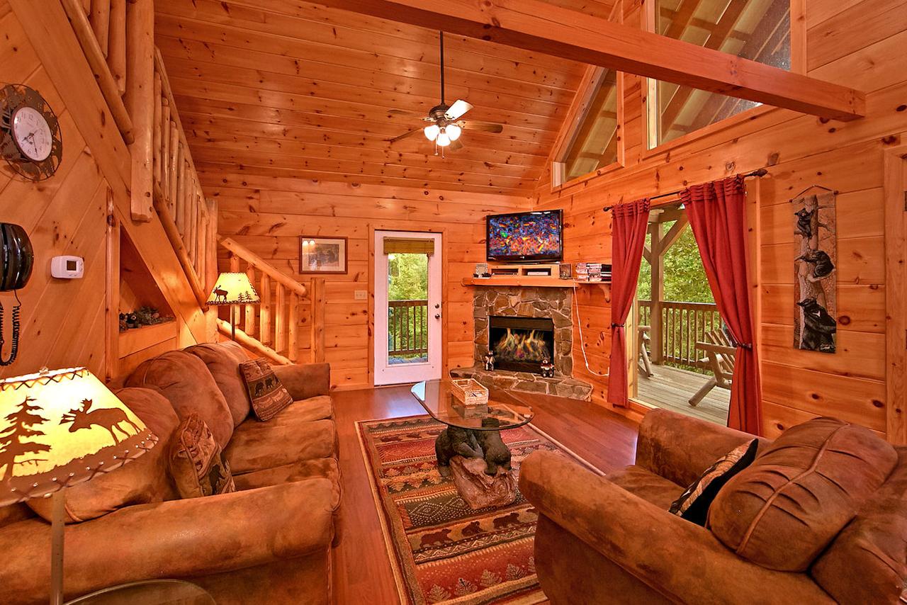 A Bear's Eye View #251 - Two Bedroom Cabin - thumb 19