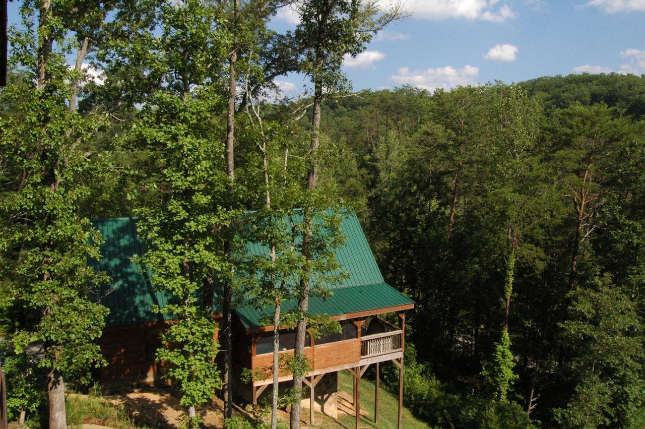 A Bear's Eye View #251 - Two Bedroom Cabin - thumb 5