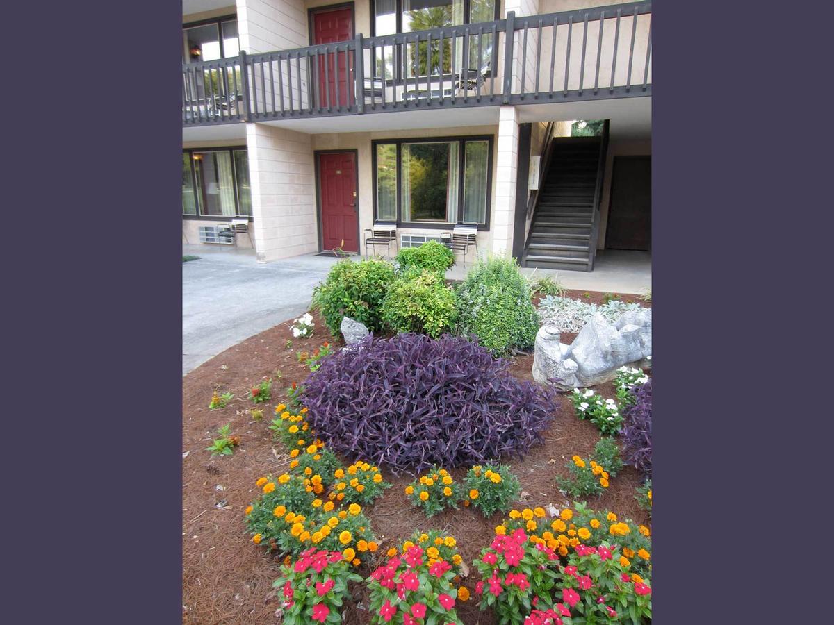 Highland Manor Inn - thumb 30