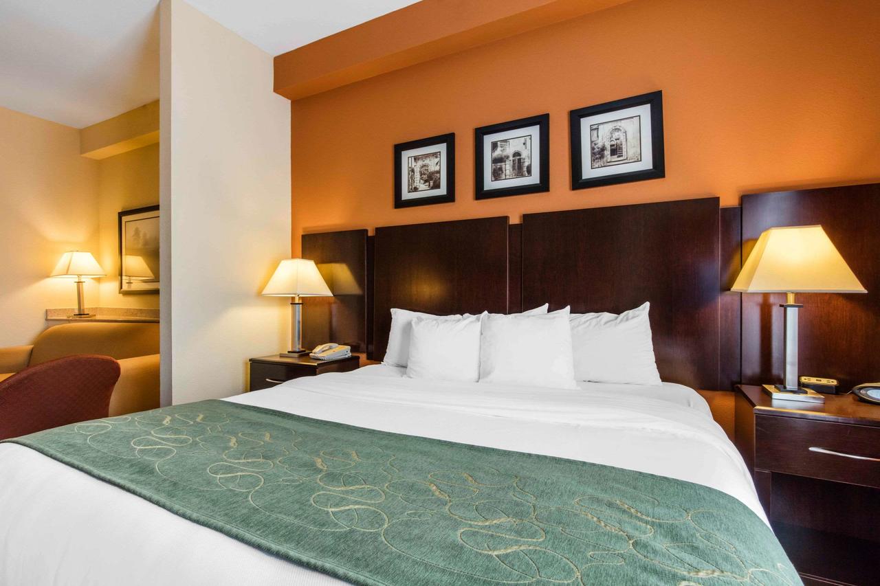 Comfort Suites Murfreesboro - thumb 7