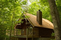 A Cabin In The Woods Tourism Bookings