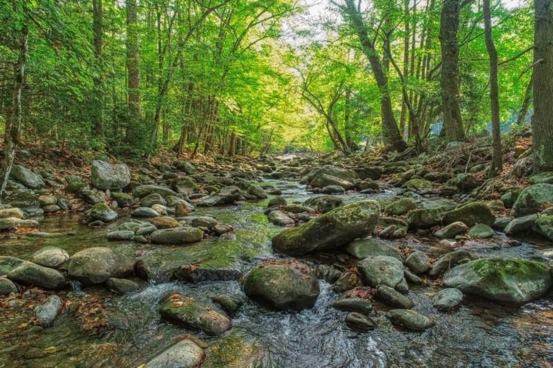 Elk Run - thumb 17