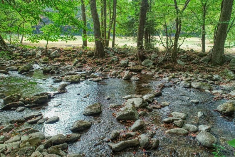 Elk Run - thumb 19