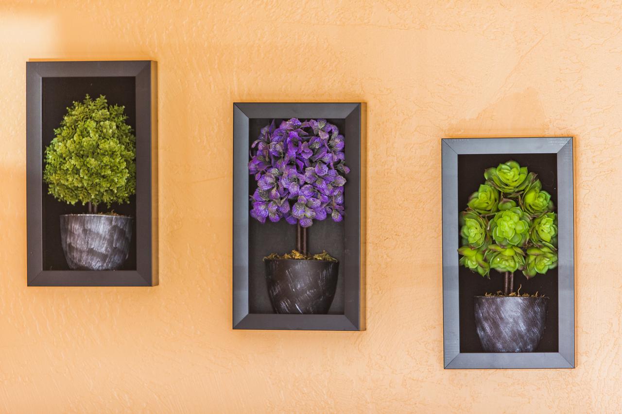 Mountain View Lodge - thumb 42