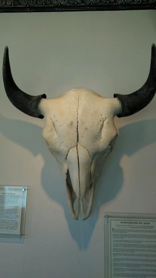 Inca Inn Motel - thumb 20