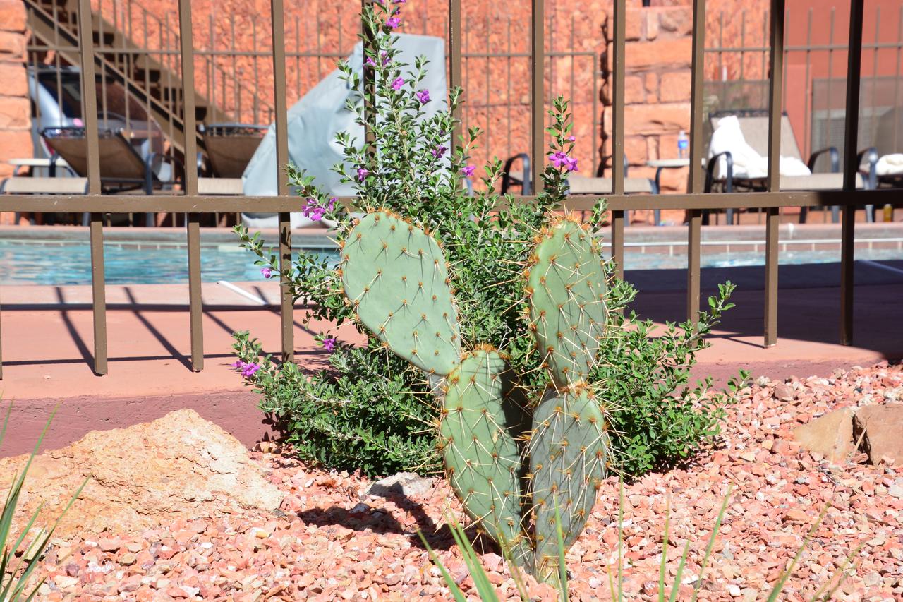 Best Western Red Hills - thumb 22