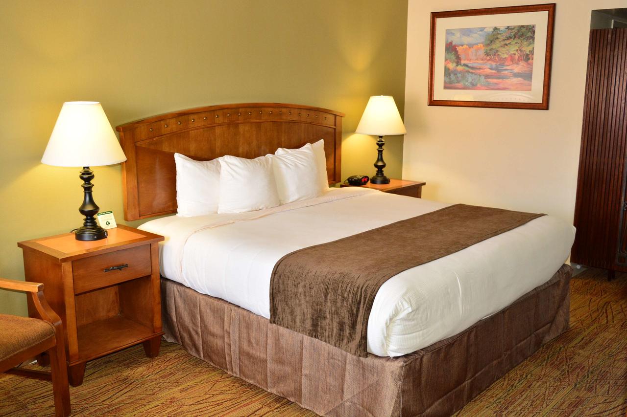 Best Western Red Hills - thumb 37