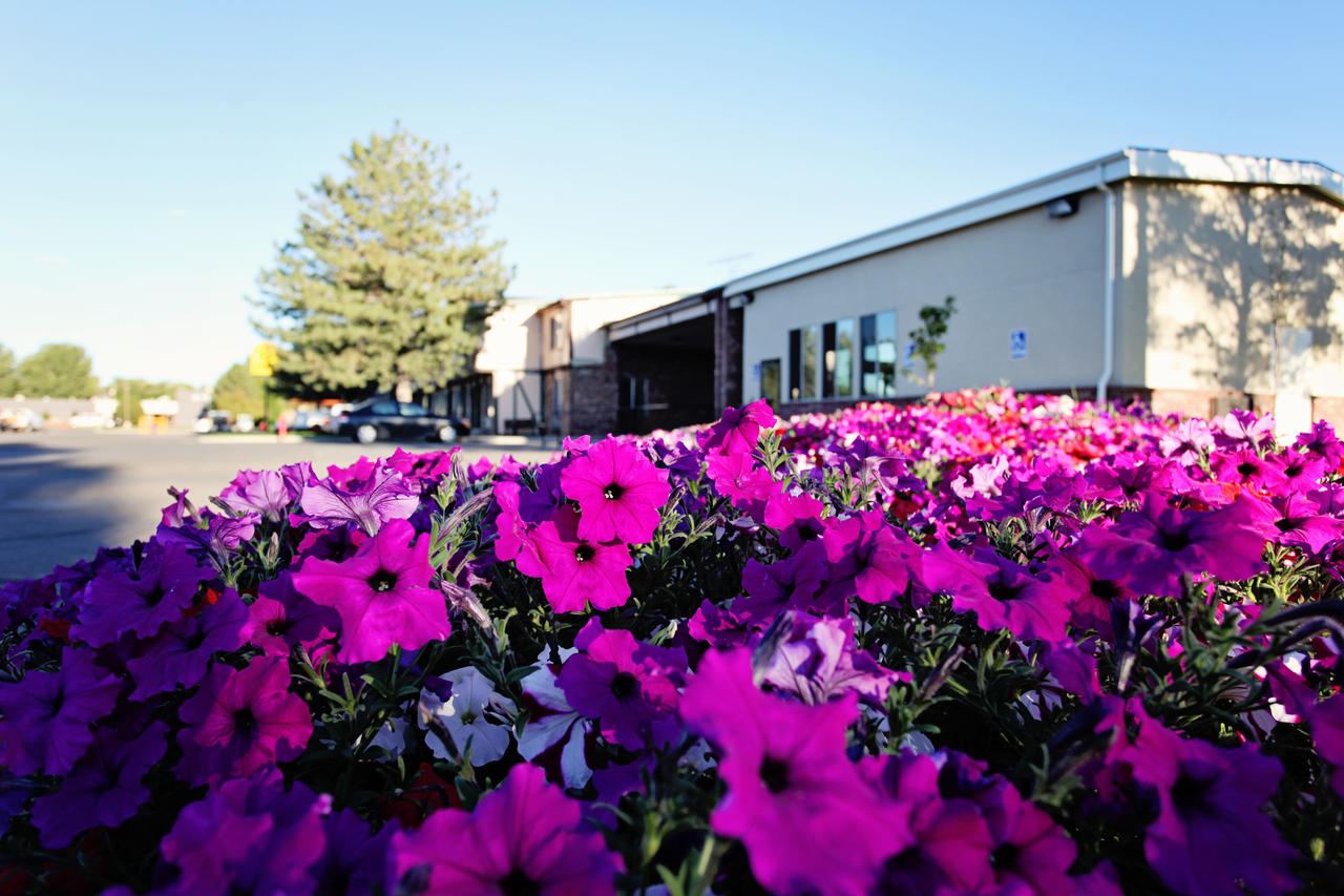 National 9 Inn Price - thumb 23