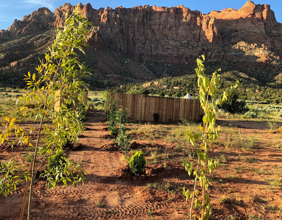 Zion Luxury Camping - thumb 10