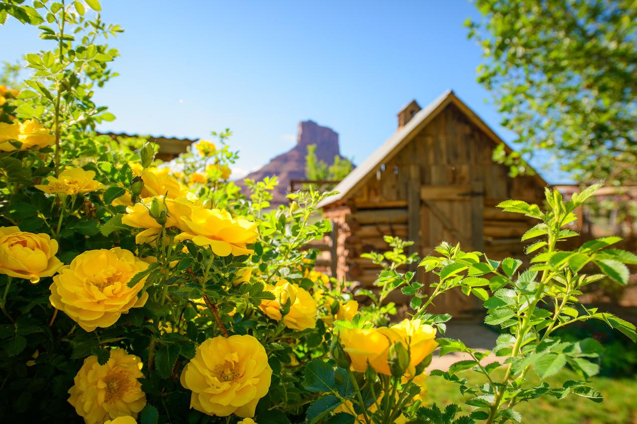 Sorrel River Ranch Resort & Spa - thumb 40
