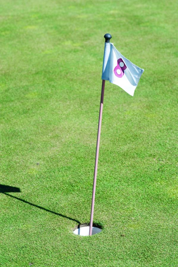 Blue Pine Motel - thumb 5