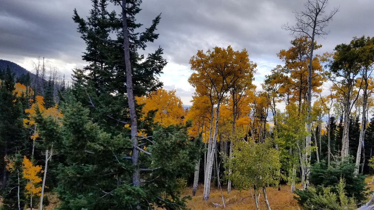 Duck Creek Village Inn - thumb 32