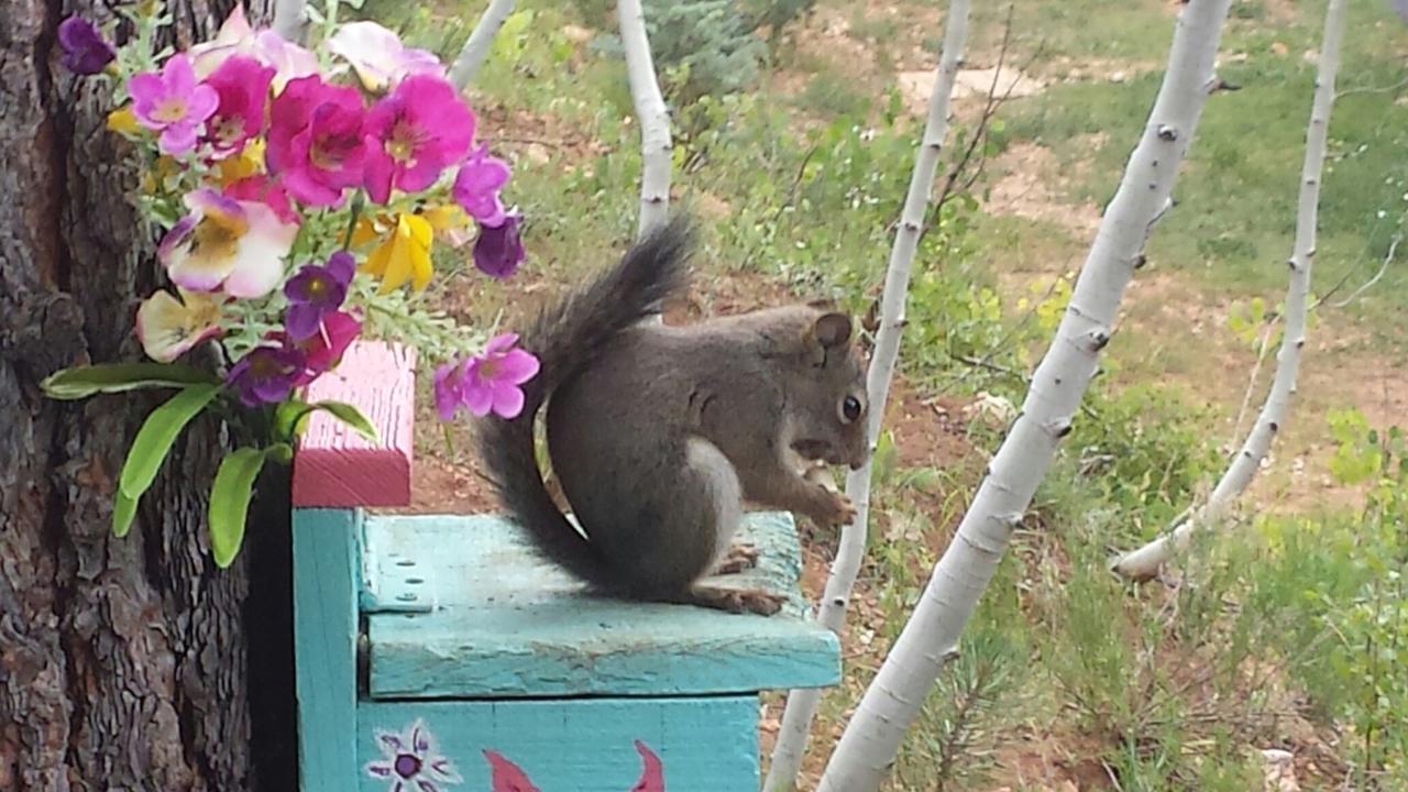 Duck Creek Village Inn - thumb 37