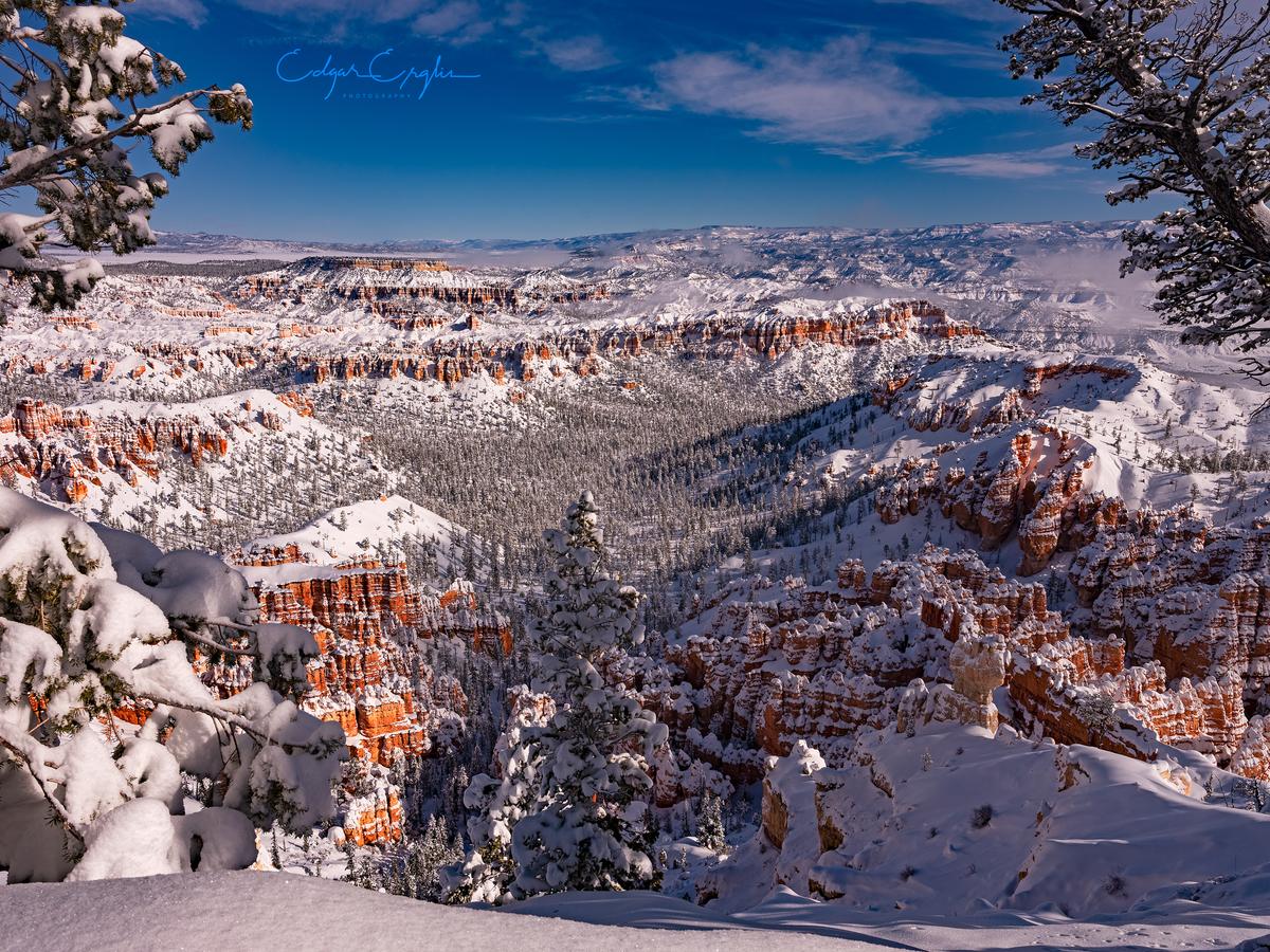 Bryce Trails Bed And Breakfast - thumb 3
