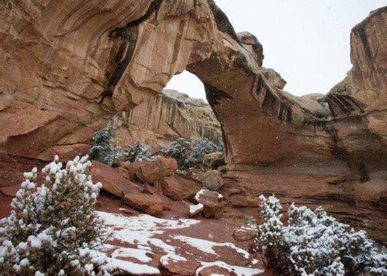 Rodeway Inn Capitol Reef - thumb 4