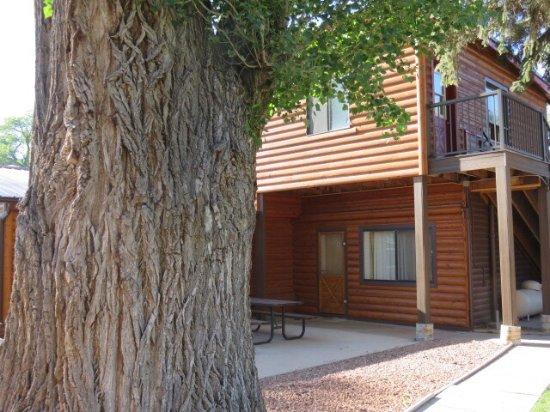 Austin's Chuckwagon Motel - thumb 6