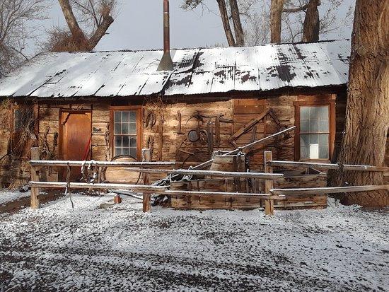 Austin's Chuckwagon Motel - thumb 4