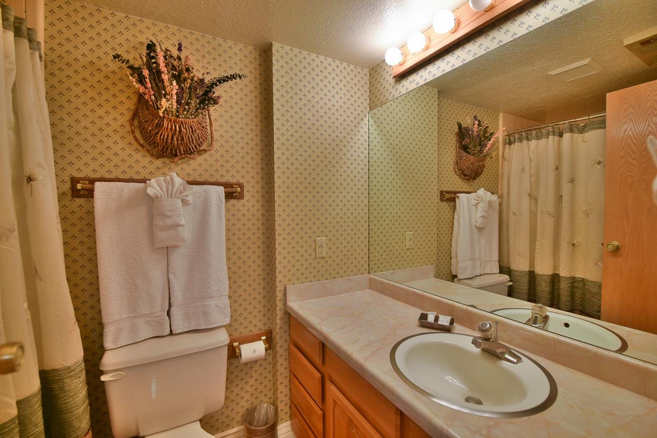Wolf Lodge Condo #504 - thumb 7