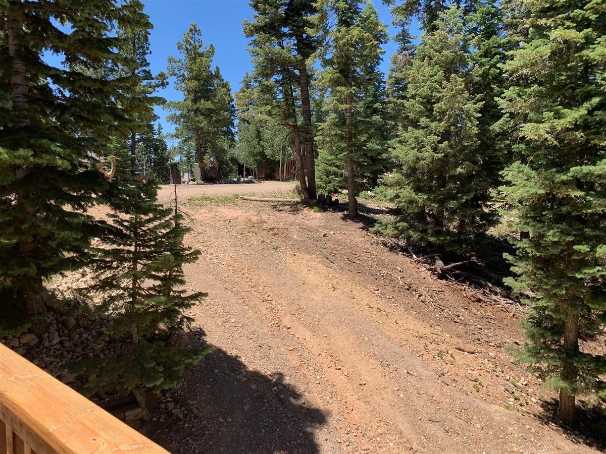 Strawberry View - thumb 19