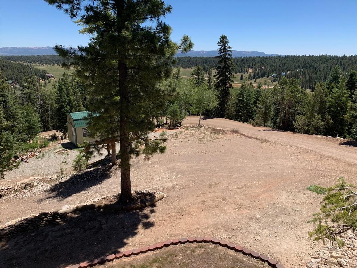 Strawberry View - thumb 21