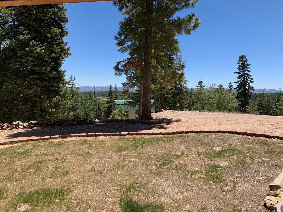 Strawberry View - thumb 9