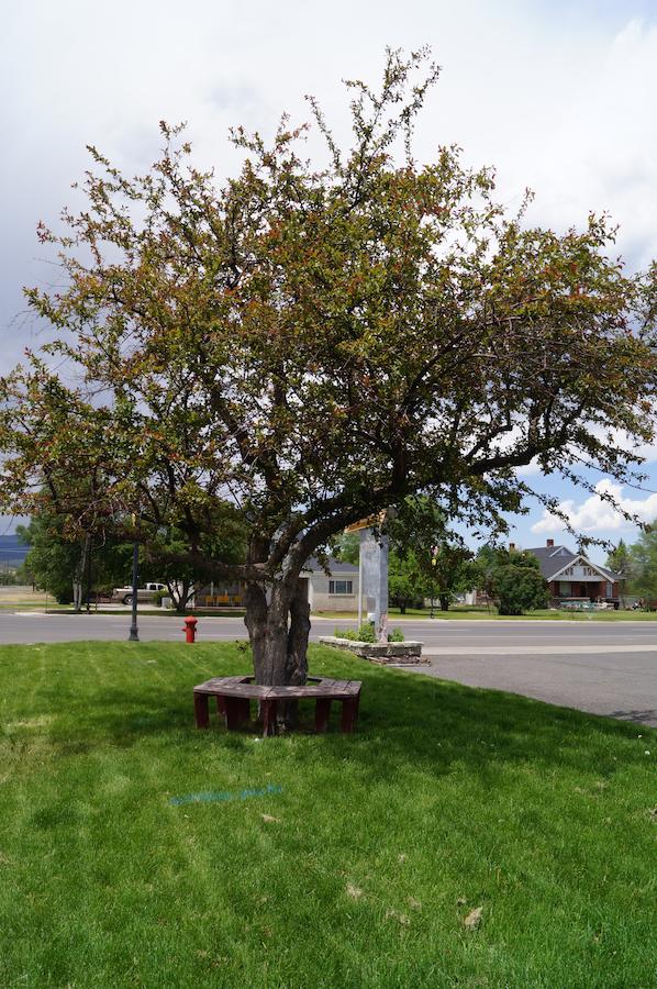 Canyon Lodge Motel - thumb 35