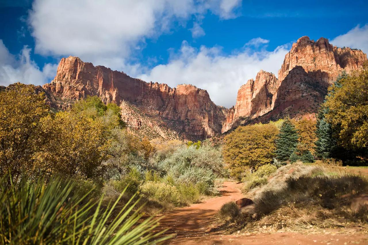 Zion Glamping Adventures - thumb 39