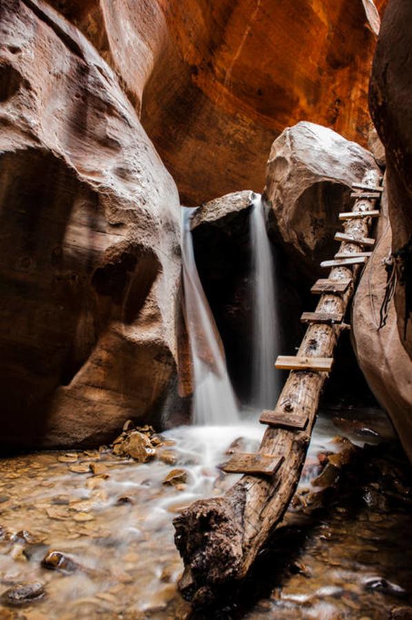 Zion Glamping Adventures - thumb 40