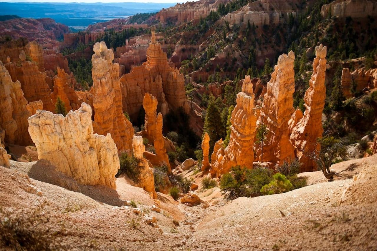 Zion Glamping Adventures - thumb 34