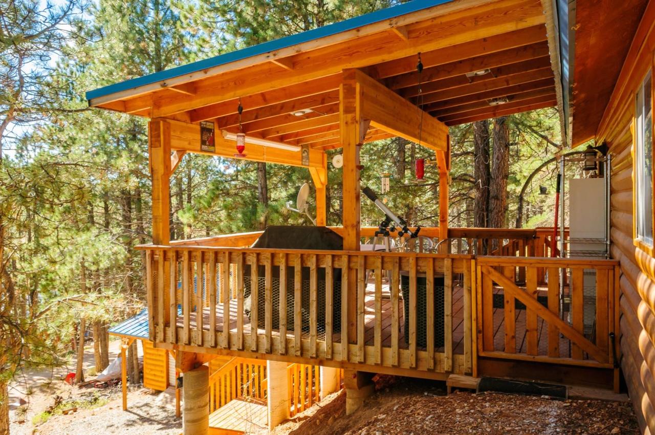 Strawberry Patch Cabin - thumb 5