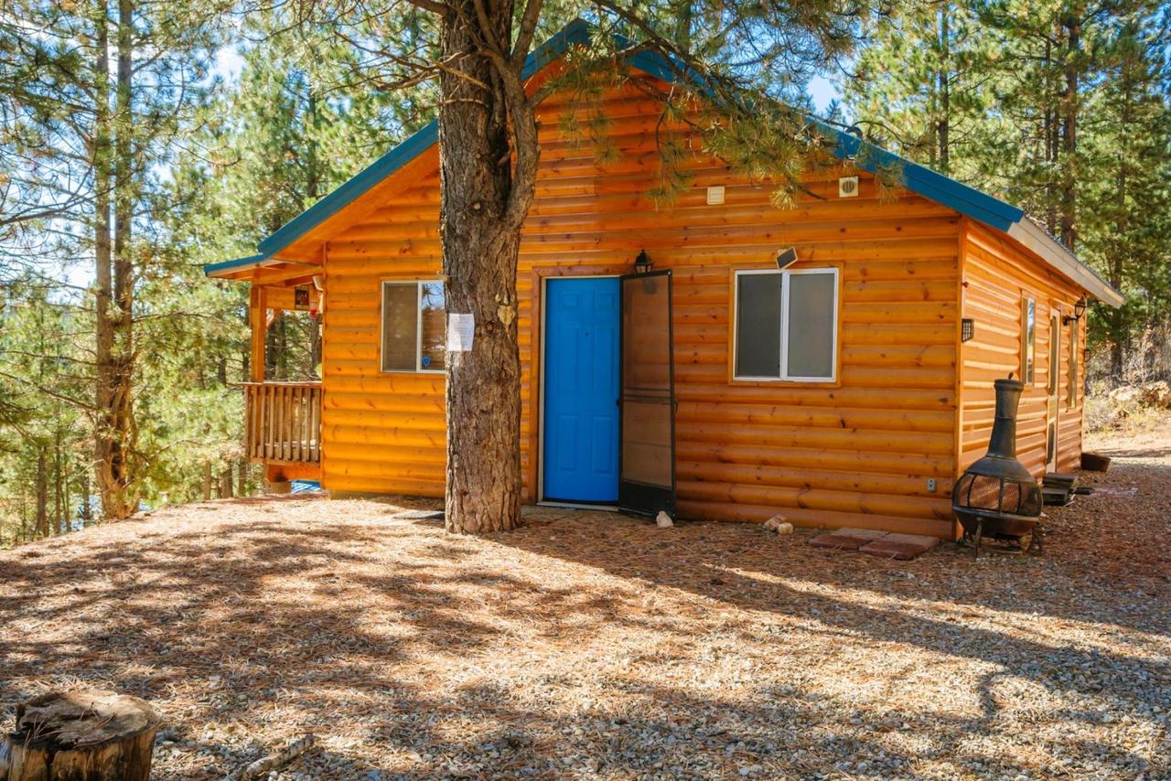 Strawberry Patch Cabin - thumb 6