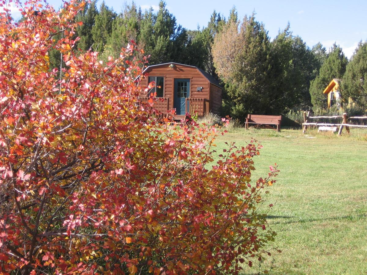 Abajo Haven Guest Cabins - thumb 29