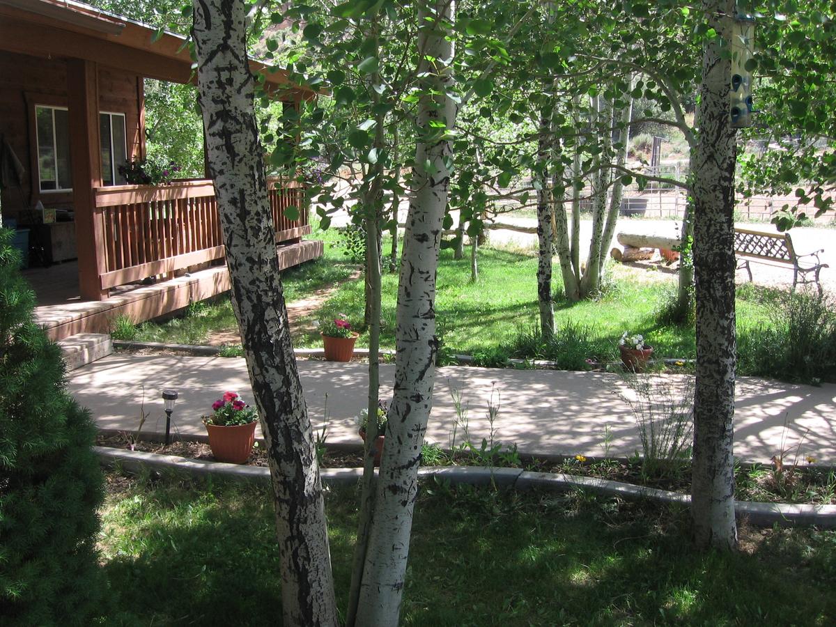 Abajo Haven Guest Cabins - thumb 35