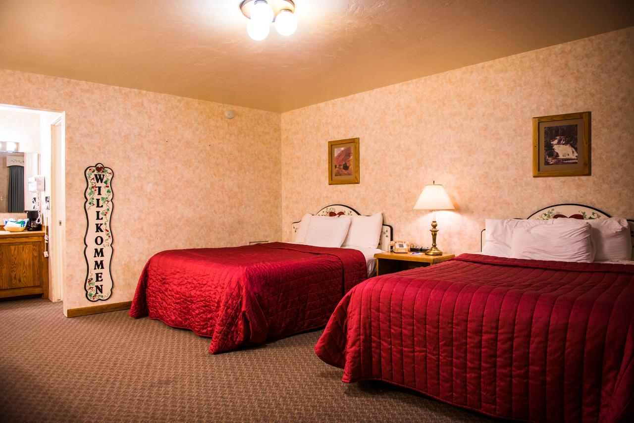 Swiss Alps Inn - thumb 0