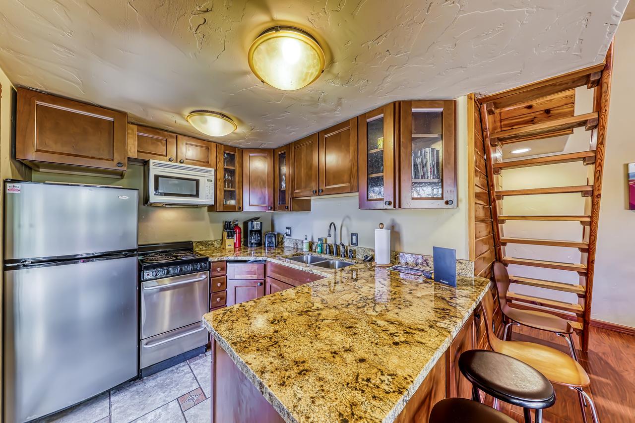 101 S. Village Way #1A - Aspen View - thumb 9