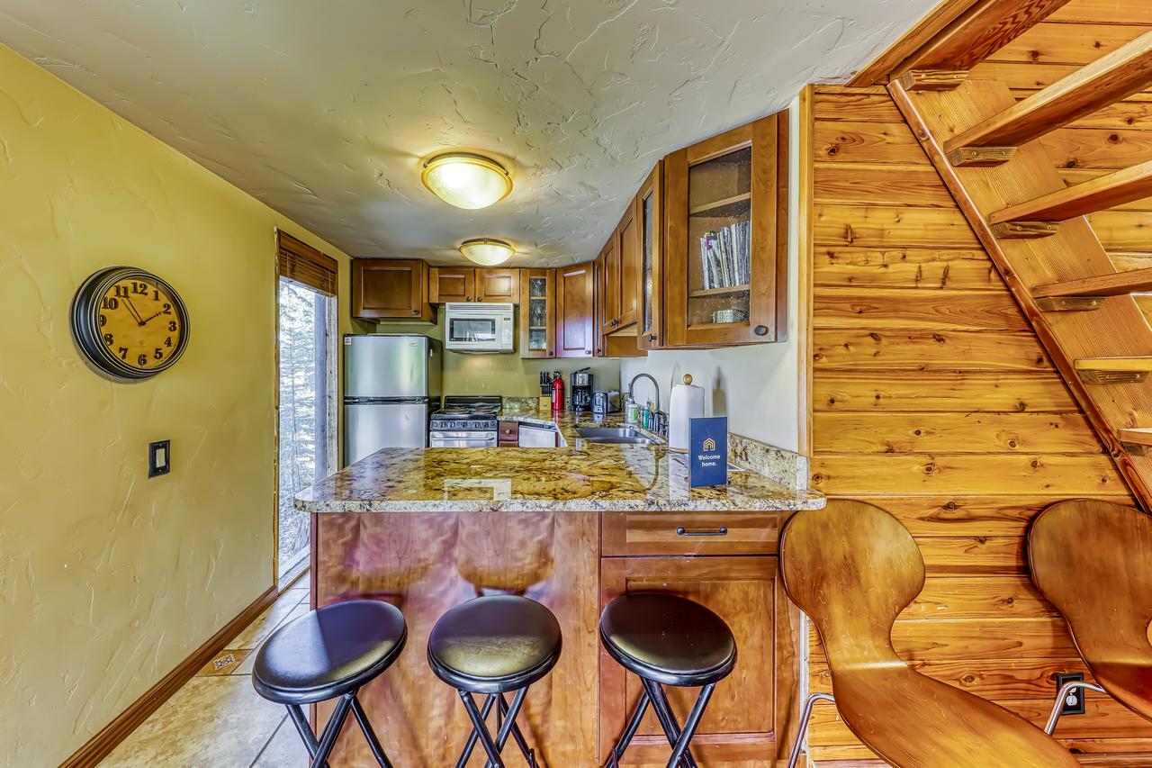 101 S. Village Way #1A - Aspen View - thumb 7
