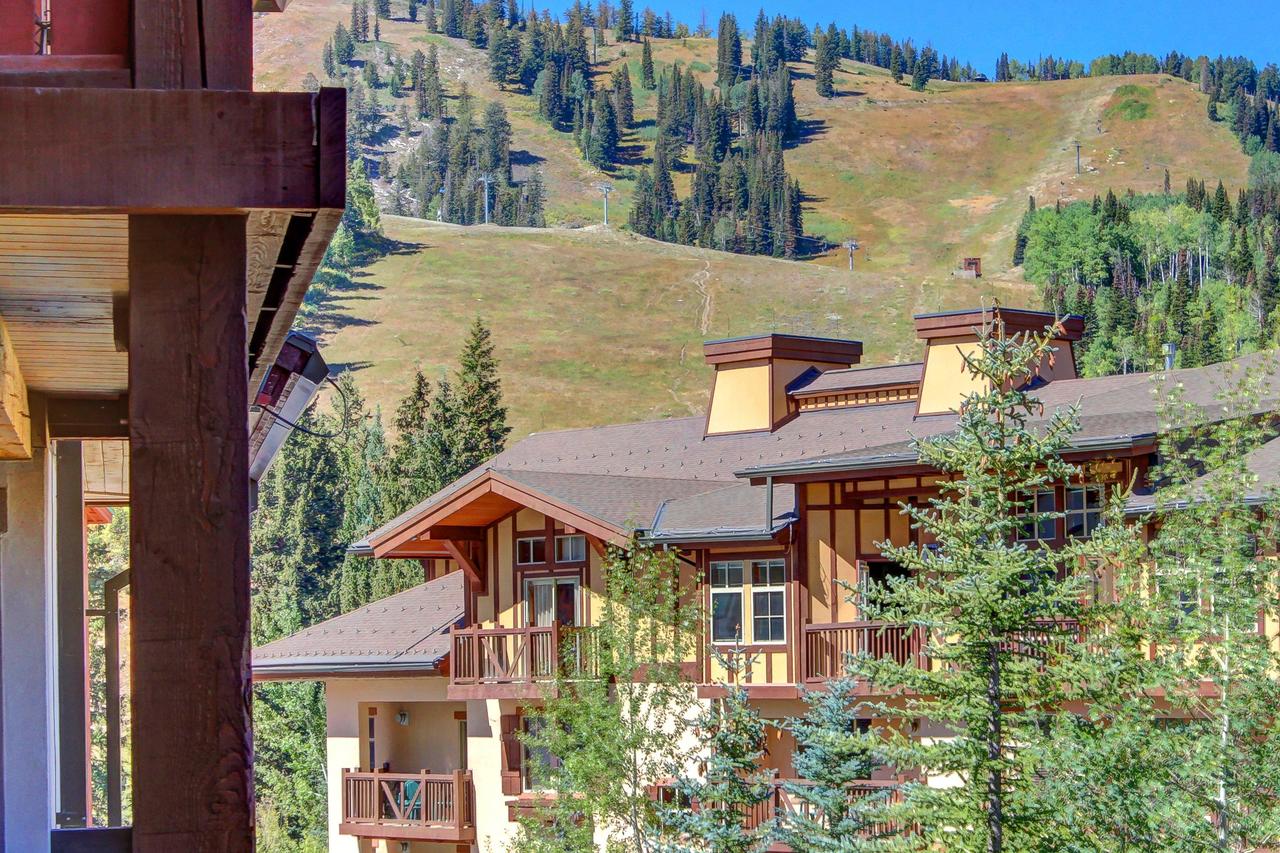 Eagle Springs East 305: House Sparrow Suite - thumb 8